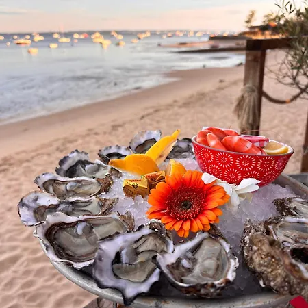 Camping Mobil Sur Le Bassin D'arcachon