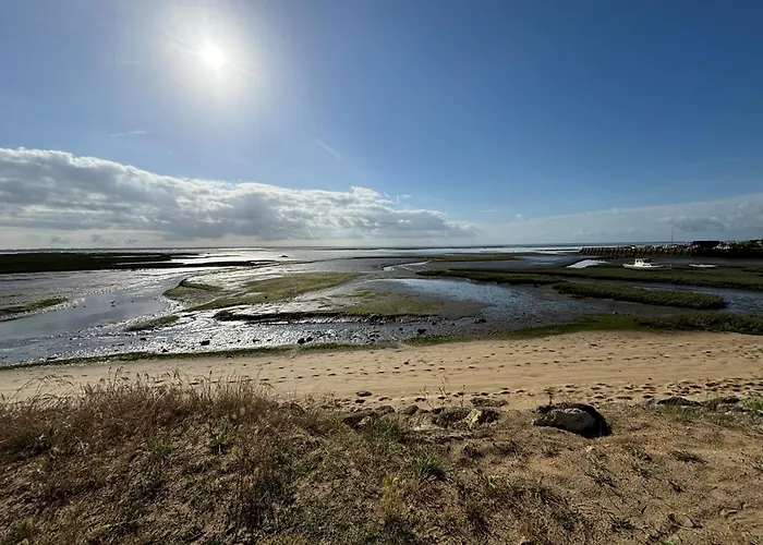 Mobil Sur Le Bassin D'arcachon Campsite Lege-Cap-Ferret